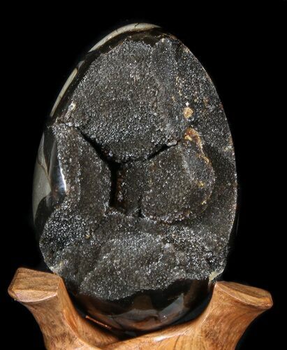 Septarian Dragon Egg Geode - Black Crystals #36715